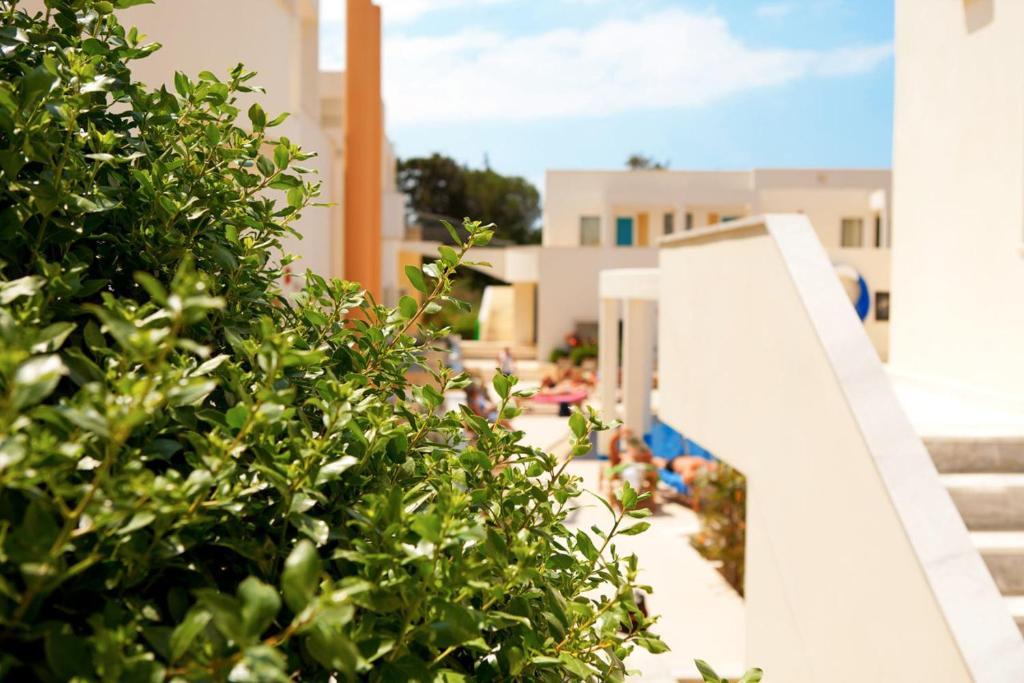 Forum Suites Kato Daratso Exteriér fotografie